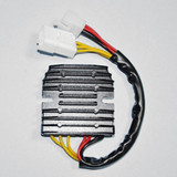 Rick's Electric Hot Shot Rec/Reg 10-126H