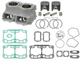 Spi Spi Complete Engine Rebuild Kit Skidoo -Std 800 Ptek