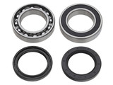 Spi Spi Chain Case Bearing Kit