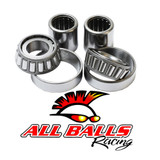 All Balls Racing Swing Arm Bearing Kit