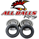 All Balls Racing Swing Arm Kit