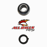 Action Bearing With Rubber Seal And Extension HC205-16