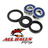 All Balls Racing Wheel Bearing Kit 25-1310