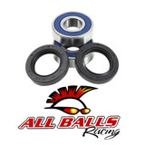 All Balls Racing Wheel Bearing Kit 25-1491