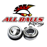 All Balls Racing Swing Arm Bearing Kit
