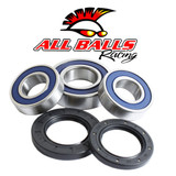 All Balls Racing Wheel Bearing And Seal Kit 25-1606