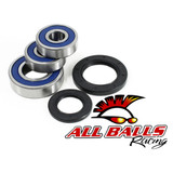 All Balls Racing Wheel Bearing Kit 25-1284