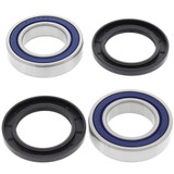 All Balls Racing Rear Wheel Bearing Kit - Both Wheels 25-1314