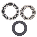 All Balls Racing Rear Wheel Bearing Kit Both Wheels 25-1010