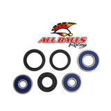 All Balls Racing Wheel Bearing Kit Rear 25-1095