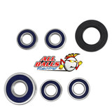 All Balls Racing Wheel Bearing Kit Rear 25-1097