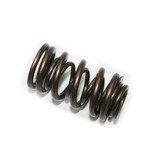 Spi Psychic Exhaust Valve Spring XU-09537ES