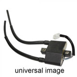 SPI Ignition Coil - Pto SM-01197