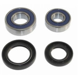 Epi Performance Performance Wheel Bearing Kit WE301060