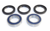 Epi Performance Performance Wheel Bearing Kit WE301169