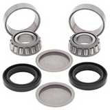 All Balls Racing All Balls Racing Swing Arm Bearing Kit