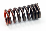 Psychic Exhaust Valve Spring XU-09526ES
