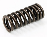 Psychic Intake Valve Spring XU-09532IS