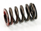 Psychic Psychic Exhaust Valve Spring