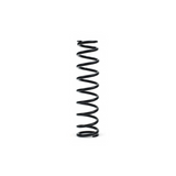 Epi Performance Epi Suspension Springs