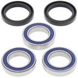 All Balls Racing Wheel Bearing Kit Rear 25-1250