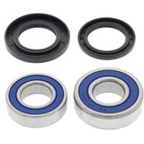 All Balls Racing Wheel Bearing Kit Rear 25-1252