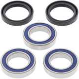 All Balls Racing Wheel Bearing Kit Rear 25-1406