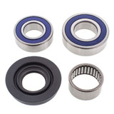 All Balls Racing Snowmobile Chain Case Bearing & Seal Kit