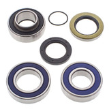 All Balls Racing Snowmobile Chain Case Bearing & Seal Kit