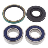 All Balls Racing Snowmobile Chain Case Bearing & Seal Kit