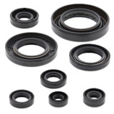 Vertex Engine Oil Seal Kit 822354