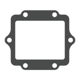 Moto Tassinari V-Force Gasket