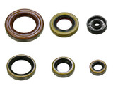 Namura Engine Oil Seal Set 6Pcs NX-09290