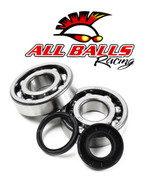 All Balls Racing Crank Bearing Kit