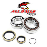 All Balls Racing Crank Bearing And Seal Kit 24-1098