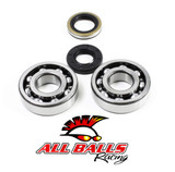 All Balls Racing Crank Bearing Kit 24-1109