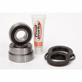 Pivot Works Pivot Works Rear Wheel And Seal Kit Kawasaki Street Bike