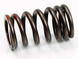 Psychic Psychic Intake Valve Spring
