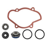 SPI Water Pump Repair Kit 10-721312