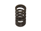 Psychic Exhaust/Intake Valve Spring