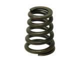 Psychic Exhaust/Intake Valve Spring