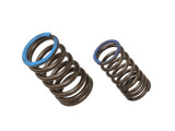 Psychic Intake Valve Spring XU-09563IS