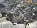 60-0637WPC Ducati Monster LHS Water Pump Cover Protector w/ Skid Plate