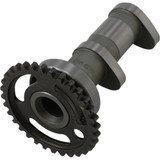 Hot Cams 2052-1In Cam Rmz450 In Stg 1