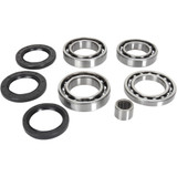 Moose Racing Differential Bearing/Seal Kit - Arctic Cat - Rear 25-2101