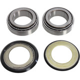 Pivot Works Pwssk-H21-000 Bearing Ktstrgstm H21-000