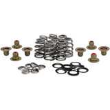 Kibblewhite 20-21800 Spring Kit Bhive M8 .625"