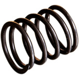 Wsm 010-453 Rotary Shaft Spring