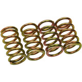 Barnett 501-57-04007 Barnett Clutch Springs