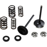 Kibblewhite Intake Spring Kit 30-33250 Kibblewhite Intake Spring Kit 30-33250